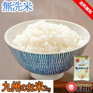 �y�ߘa7�N�Y�z��5kg �������� ��B �����ĕ����̂��� �������Y�q�m�q�J�� �� ������ 5kg ��B�Y �������� 2025�N�Y