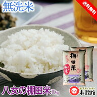 米10kg 送料無料 九州 無洗米福岡県八女産棚田米無洗米5kg2個セット送料無料 10キロ 令和7年産