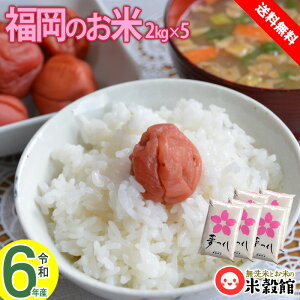 �y�ߘa7�N�Y�z2kg×5�Z�b�g ������������ 10kg �������� ��B�Y �� �������Y 10kg(2kg×5) �������� 2025�N�Y �V�� �������Z�b�g���������Đl�C�_���g�cNo.1