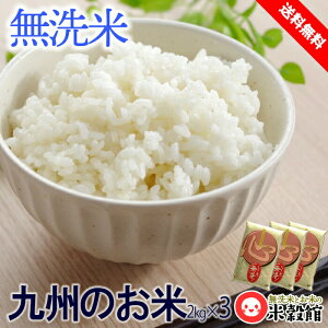 �� 6kg ������ �������� ���������X�l�CNo.1 �����āu�S�v 6�L�� �������ݗߘa7�N�Y��B�Y2kg×3�Z�b�g