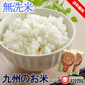 無洗米 4kg(2kg×2) 小分け米 無洗米 送料無料 九州産「心」令和5年産九州産