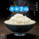 【令和7年産新米】無洗米10kg 九州 宮崎県産コシヒカリ10kg 送料無料 九州産 米 精米九州の新米10kg(5kg×2個セット)