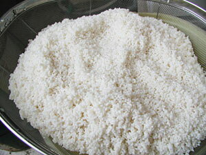 yߘa7NYz  ݕ 4.5kg BYqN`āuāv4.5kgP4.5kg3ōwłĕ֗BY   2025NYF{  啪