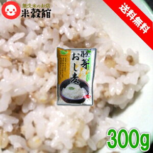 yz肨ނ300g×2600g  唞 ͂NbN|Xg