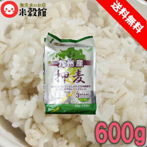  BY 600g×1lR|Xs