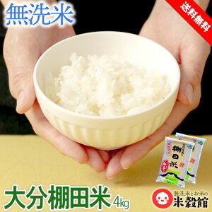 ߘa6NY Y 4kg 啪d̒IcċBY   2kg×2 