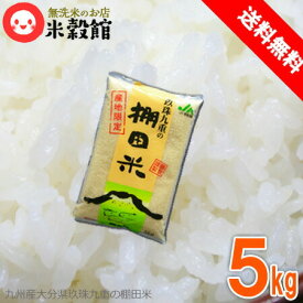 【令和7年産】令和6年産 無洗米 5kg 送料無料大分県玖珠九重産棚田米無洗米 九州産 米 5kg 送料無料銘柄は変更になる場合があります。