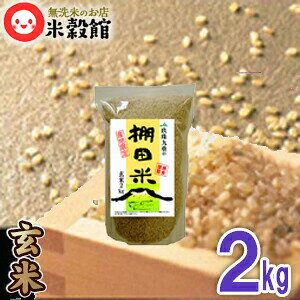 ���� 2kg ��B�E�啪�� �啪���E��d�̒I�c�� ��B�Y �� 2kg�ЂƂ߂ڂ� 2�L�� ������