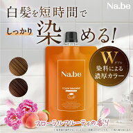 ＼ 新発売 ／【公式】Na.be ナイブ カラートリートメント Nabe color treatment 日本製 白髪染め ジアミ…