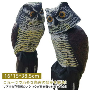 悯 ӂ낤 ރJX 悯 悯tNE 悯ObY 悯ObY tNE ObY   JX΍ cȏ JX悯 co悯 悯΍ 悯tNE ΍ l