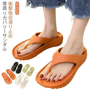 fB[X T_  bJ[T_ Jo[T_ Ռz Y X|[cT_ Ȃ V[T_ r[`T_ C EVA bNX J AX[g X