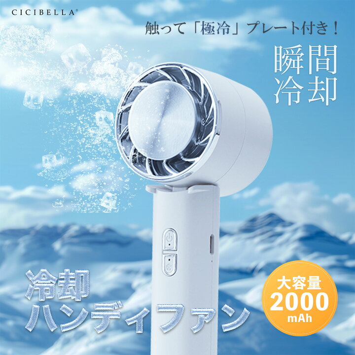 楽天市場】☆スーパーセール☆【限定価格】【2024年最新版】cicibella 