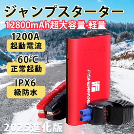 ジャンプスターター 大容量 USB Type-C 12V 車用 エンジンスターター 最大電流1000A QDSP 応急 Type-Cポート搭載 モバイルバッテリー ポータブル充電器 防災グッズ スマホ急速充電 小型軽量 LED応急ライト搭載