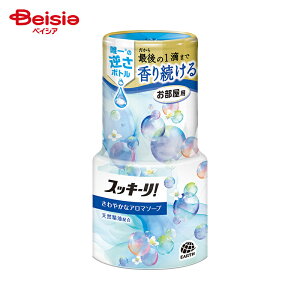 A[X ̃XbL[₩ȃA}\[v400ml