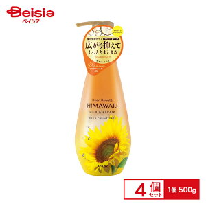 NVG fBA{[e q} ICCRfBVi[|v 500g×4