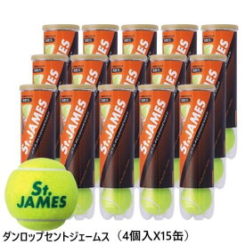 楽天市場 テニスボールの通販