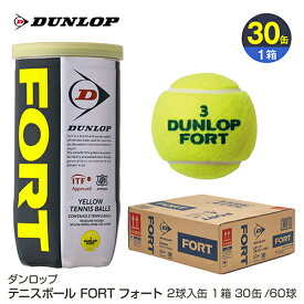 楽天市場 テニスボールの通販