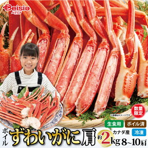 {C 킢  2kgi8`10j | {C킢  2kg YCKj I  Jj Ⓚ {C Hׂ₷ NNn  Ƒ Fl p[eB[ Mtg 蕨  O e