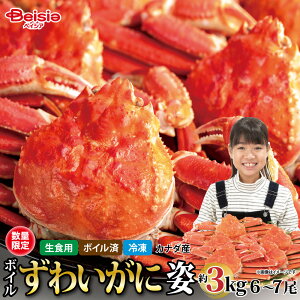 {C 킢 p 3kgi6`7j | {C킢 p 3kg YCKj I  Jj Ⓚ {C Hׂ₷ ۂ NNn  Ƒ Fl p[eB[ Mtg 蕨  O 