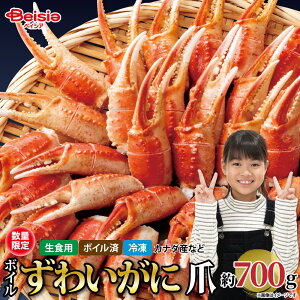 {C 킢 kt 700g | {C킢 kt 700g YCKj I  Jj Ⓚ {C Hׂ₷ NNn  Ƒ Fl p[eB[ Mtg 蕨  O J