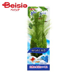  WFbNX i veA PZbgS ×4