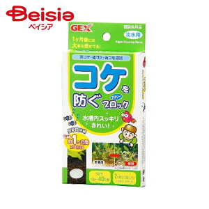  WFbNX RPh AW[ubN ×4