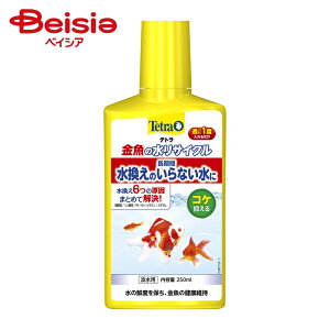 XyNg uY Wp eg̐TCN250ml ×6 |     ANAE ܂Ƃߔ