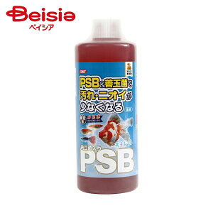 CgXC [ۓPSB1000ml ×1