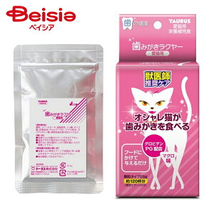 g[X ~KLN[Lp25g ×1 | L  ݂ y[Xg  Lp f^PA Y Y C L PA