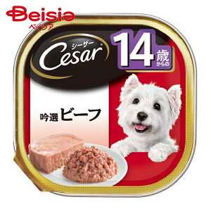 }[XWp V[U[14΋Ir[t100g ×24 | V[U[ hbOt[h EFbg ʋl  GT a pE` V[U[14 V[U[Ir[t VjA  100g 24 ܂Ƃߔ 