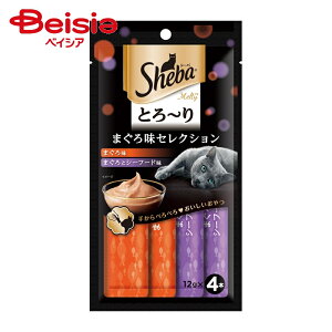 }[XWp V[og[eB}O12g ×6 | V[o Ƃ` eB L  }O 12g 6