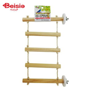 i`ybgt[Y GNZ[v_[i1j ybg