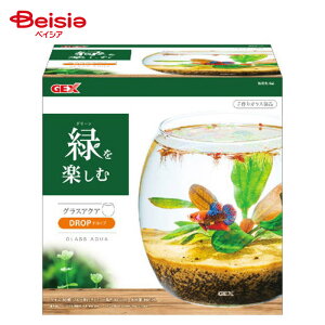 WFbNX OXANAhbv1 ybg