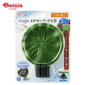 WFbNX _Ji_Ĵ葐nX 1 ybg