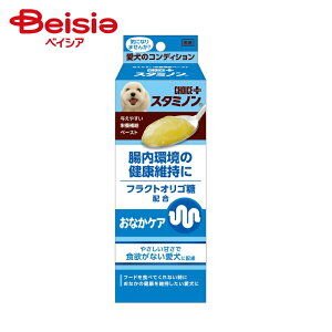 A[XEybg `CXvXX^~mȂPA40g ×1