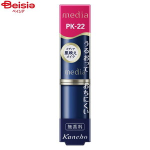 Jl{E media fBA N[~BXeBObvA PK-22