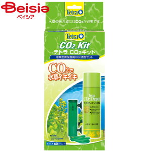 XyNg uY Wp CO2Lbg ybg | CO2Lbg 琬  Y Mы ANAE