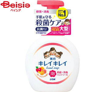 CI LCLCpAnh\[vt[c~bNX̍{