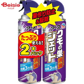 アース製薬 アースクモの巣消滅ジェット450ML×2本