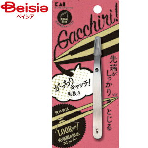 �L�� ��������L���b�`�є����i�V���o�[�jKQ3215