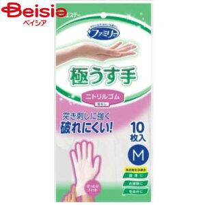 GXe[ t@~[jgɂMTCYzCg10