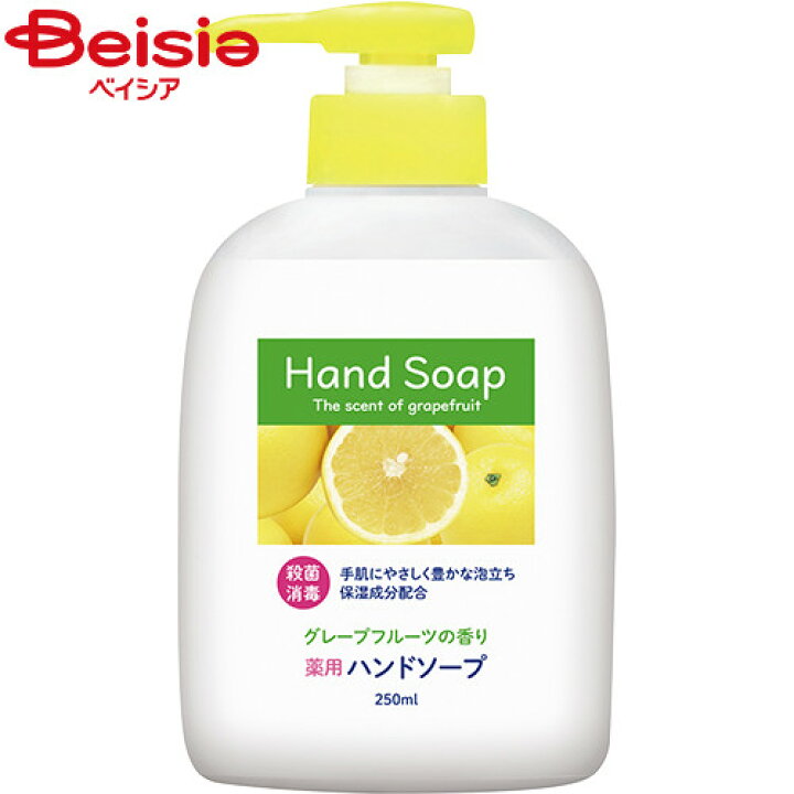【送料無料・まとめ買い×12個セット】第一石鹸 薬用 泡 ハンドソープ 本体 250mL 医薬部外品