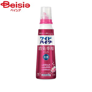 ԉ ChnC^[LpWFt[{570ml