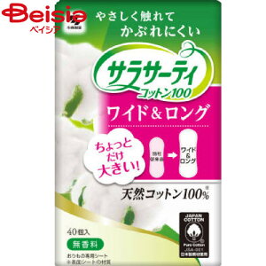 ѐ TT[eBRbg100ChO40P | ̃V[g Ch O Rbg100 VRf fP[g][ ΍ ɗD q { 40