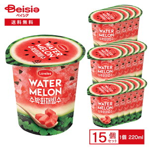 ゴールドスター 韓国スイカビンス 220ml×15個 | アイス 氷菓 かき氷 すいか 果汁 パイナップル 果肉 チョコチップ 韓国スイーツ カップアイス デザート スイーツ まとめ買い