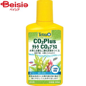 XyNg uY Wp CO2vX250ml ybg | CO2   Mы ANAE