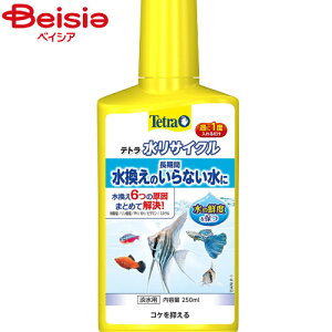 XyNg uY Wp egTCN250ml ybg |    Mы ANAE