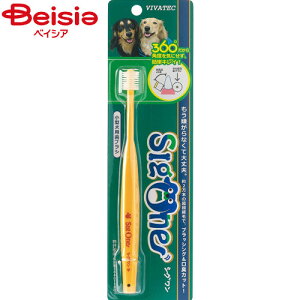 roebN ^puVVO1{ ybg | puV VO ^ f^PA oPA  a\h VIVATEC