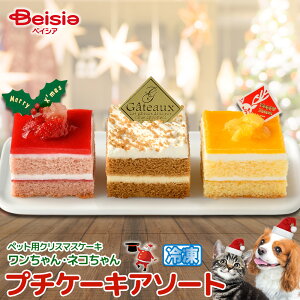 y\tz ElRp NX}X v`P[LA\[g Ⓚ 2025-B | ybgP[L ybgP[L ybgpP[L NX}XP[L