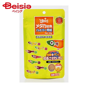 L[ _JcnCp[琬28g ×4